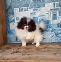 processed/3aa21ac8-882d-4049-817b-0c1b6a5b8b90/listing/0e4dcd70-6b7e-4245-a874-a6f56576d2a5/2b426ae4-7143-47e0-9430-c326580a24b2