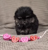 processed/3aa21ac8-882d-4049-817b-0c1b6a5b8b90/listing/0eef90f6-2fec-4da8-a428-108e3e6b7e2b/7c7f62a6-9185-4ea0-9778-99251cc3666d