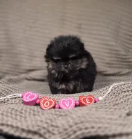 processed/3aa21ac8-882d-4049-817b-0c1b6a5b8b90/listing/0eef90f6-2fec-4da8-a428-108e3e6b7e2b/ed658eb2-51dd-44ad-ad8c-d10f208a9f03