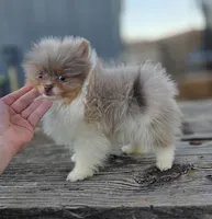 processed/3aa21ac8-882d-4049-817b-0c1b6a5b8b90/listing/ab223e9d-df32-49af-869c-4acad91eea8c/28c37d20-1a9b-441d-9b88-f221ed6d4bdf