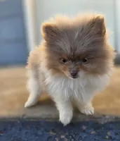 processed/3aa21ac8-882d-4049-817b-0c1b6a5b8b90/listing/ab223e9d-df32-49af-869c-4acad91eea8c/7428d74a-dbc1-4f16-9057-957664b2ccb1