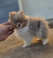 processed/3aa21ac8-882d-4049-817b-0c1b6a5b8b90/listing/ab223e9d-df32-49af-869c-4acad91eea8c/bd6e6894-3472-45c0-96a4-ecef6b12eaf3