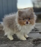 processed/3aa21ac8-882d-4049-817b-0c1b6a5b8b90/listing/ab223e9d-df32-49af-869c-4acad91eea8c/e3114bbe-00d8-443f-9d91-835903570afe