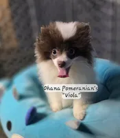 processed/3aa21ac8-882d-4049-817b-0c1b6a5b8b90/listing/c2911e89-0492-4d16-8010-70a546b7fd62/27ae86fc-ee1a-459f-8065-fec229a21d4f