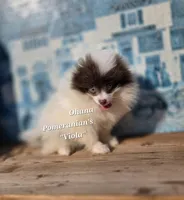 processed/3aa21ac8-882d-4049-817b-0c1b6a5b8b90/listing/c2911e89-0492-4d16-8010-70a546b7fd62/6df89d4b-3371-495e-a0c5-2f453e3241a8