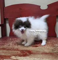 processed/3aa21ac8-882d-4049-817b-0c1b6a5b8b90/listing/c2911e89-0492-4d16-8010-70a546b7fd62/b7872bb5-6ea6-40fb-9a3f-d0b875a68b99