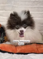 processed/3aa21ac8-882d-4049-817b-0c1b6a5b8b90/listing/c2911e89-0492-4d16-8010-70a546b7fd62/c6001539-2258-4834-bb8f-fe18cf0116c7