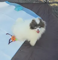 processed/3aa21ac8-882d-4049-817b-0c1b6a5b8b90/listing/c2911e89-0492-4d16-8010-70a546b7fd62/cbd9ecde-9a39-47cc-b275-8e3199e0bfa8