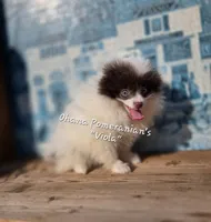 processed/3aa21ac8-882d-4049-817b-0c1b6a5b8b90/listing/c2911e89-0492-4d16-8010-70a546b7fd62/ed7aae6c-d81c-42cd-bc10-5fc1dd060b89