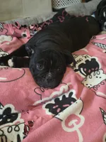 processed/3aa59dc7-7f94-4d13-b352-315ea6d240c3/listing/3753fc61-6a10-4942-8075-a8f4ebddcd42/8ebef21c-38a0-43ff-9468-3fc949e6637f