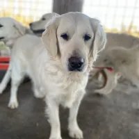 processed/3aaa80bf-2600-4694-9705-9bc699f02216/facility/281e5c7a-f7fb-4fa1-aa51-7fdb2454d183