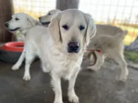 processed/3aaa80bf-2600-4694-9705-9bc699f02216/facility/281e5c7a-f7fb-4fa1-aa51-7fdb2454d183