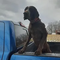 processed/3aaa80bf-2600-4694-9705-9bc699f02216/facility/48d6d6d5-dc62-4042-b0aa-5c613cbff102