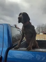 processed/3aaa80bf-2600-4694-9705-9bc699f02216/facility/48d6d6d5-dc62-4042-b0aa-5c613cbff102