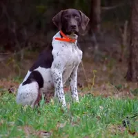 processed/3aaa80bf-2600-4694-9705-9bc699f02216/facility/986f0662-197a-4092-9df9-6a33c003ed5c