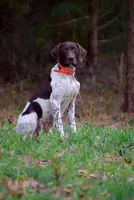 processed/3aaa80bf-2600-4694-9705-9bc699f02216/facility/986f0662-197a-4092-9df9-6a33c003ed5c