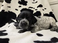 processed/3aaa80bf-2600-4694-9705-9bc699f02216/listing/872d7ac5-2d8d-47d3-b211-b3fc2653d268/183a14a0-70b2-4b8b-975e-3c5791922dc0