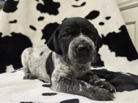 processed/3aaa80bf-2600-4694-9705-9bc699f02216/listing/872d7ac5-2d8d-47d3-b211-b3fc2653d268/91e4508d-c39d-4bc2-aa4a-41f1c4fb967f