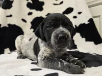 processed/3aaa80bf-2600-4694-9705-9bc699f02216/listing/872d7ac5-2d8d-47d3-b211-b3fc2653d268/a87d2398-e621-4e34-8b1c-5ef431722844