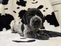 processed/3aaa80bf-2600-4694-9705-9bc699f02216/listing/872d7ac5-2d8d-47d3-b211-b3fc2653d268/c189dae6-52df-42bc-82bc-8c4f7f277261