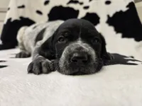 processed/3aaa80bf-2600-4694-9705-9bc699f02216/listing/872d7ac5-2d8d-47d3-b211-b3fc2653d268/f93f8a21-8066-4501-889c-5f986afec2d0