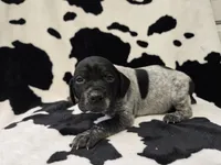 processed/3aaa80bf-2600-4694-9705-9bc699f02216/listing/da386981-89f1-421f-ab4a-703eb2c3f0de/173093c6-6595-4685-8b28-d794bb8d3b3a