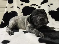 processed/3aaa80bf-2600-4694-9705-9bc699f02216/listing/da386981-89f1-421f-ab4a-703eb2c3f0de/4556a5ea-bb6b-438b-bcc3-aad75f14b4fe