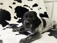 processed/3aaa80bf-2600-4694-9705-9bc699f02216/listing/da386981-89f1-421f-ab4a-703eb2c3f0de/8dac36cb-b934-45f5-9bff-a3bea5cdc14d