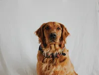 processed/3ab8536d-ec20-4955-af34-750308760801/facility/019708d0-c66a-46c7-9f4b-1f97f8b857c6