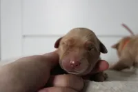 processed/3ab8536d-ec20-4955-af34-750308760801/facility/31a1e5ff-fd95-4285-b101-ca191e777494