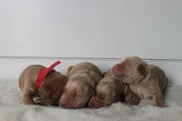 processed/3ab8536d-ec20-4955-af34-750308760801/facility/35373b01-ef28-46c8-882c-33e65d7ea6ec