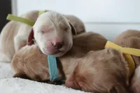 processed/3ab8536d-ec20-4955-af34-750308760801/facility/5f454027-1096-4075-bc01-45081189e7b8