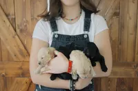 processed/3ab8536d-ec20-4955-af34-750308760801/facility/797eb192-5742-4fde-8784-d63487aeb606