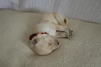 processed/3ab8536d-ec20-4955-af34-750308760801/facility/84154f57-63d6-471d-8173-bcb45a254e6a