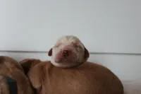 processed/3ab8536d-ec20-4955-af34-750308760801/facility/89fa6388-0eb2-4c3f-868c-daa04a3d3098