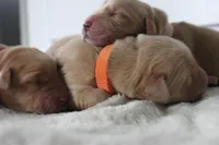 processed/3ab8536d-ec20-4955-af34-750308760801/facility/c438b424-9b65-4f42-b710-1046be86e82c