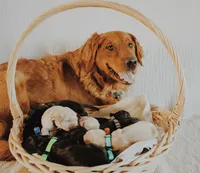 processed/3ab8536d-ec20-4955-af34-750308760801/facility/e3cfc112-880d-47c8-8a56-35c2ad9b356d