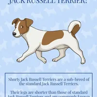 processed/3ac6fbfe-aabf-4e67-a34e-270cb70a1cc2/facility/052b4425-fff8-4494-9564-9faafd5294a7