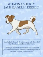 processed/3ac6fbfe-aabf-4e67-a34e-270cb70a1cc2/facility/052b4425-fff8-4494-9564-9faafd5294a7