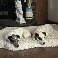 processed/3ac6fbfe-aabf-4e67-a34e-270cb70a1cc2/facility/823186bf-a223-4e62-a6fb-816ca4716832