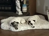 processed/3ac6fbfe-aabf-4e67-a34e-270cb70a1cc2/facility/823186bf-a223-4e62-a6fb-816ca4716832