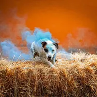 processed/3ac6fbfe-aabf-4e67-a34e-270cb70a1cc2/facility/89ae35f4-52ea-47bd-90b8-bc58be64bd9c