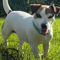 processed/3ac6fbfe-aabf-4e67-a34e-270cb70a1cc2/facility/89f82d26-6cd3-4c21-8263-92355947d83e