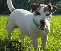 processed/3ac6fbfe-aabf-4e67-a34e-270cb70a1cc2/facility/89f82d26-6cd3-4c21-8263-92355947d83e