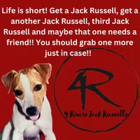 processed/3ac6fbfe-aabf-4e67-a34e-270cb70a1cc2/facility/98450b54-c478-4de9-9900-f6fbbea6b0e9