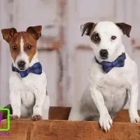 processed/3ac6fbfe-aabf-4e67-a34e-270cb70a1cc2/facility/d783c9b6-9df2-40d5-ab20-f6e5ded7618a