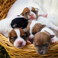 processed/3ac6fbfe-aabf-4e67-a34e-270cb70a1cc2/facility/f3c310ee-511d-4f29-add3-752dfa34163b