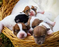 processed/3ac6fbfe-aabf-4e67-a34e-270cb70a1cc2/facility/f3c310ee-511d-4f29-add3-752dfa34163b