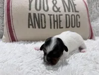 processed/3ac6fbfe-aabf-4e67-a34e-270cb70a1cc2/listing/4f5a102f-280d-43bb-98b0-7ea9e2236eff/29483b86-a91b-47c8-ac39-97bcfbba82d0