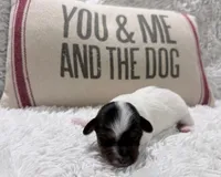 processed/3ac6fbfe-aabf-4e67-a34e-270cb70a1cc2/listing/4f5a102f-280d-43bb-98b0-7ea9e2236eff/3c748ca1-f6c0-44c2-a2c9-86101df69da8